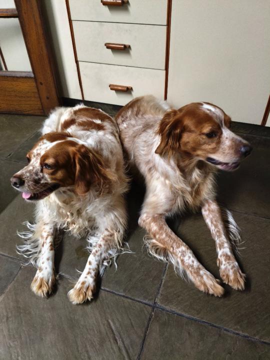 Silvia de los Santos