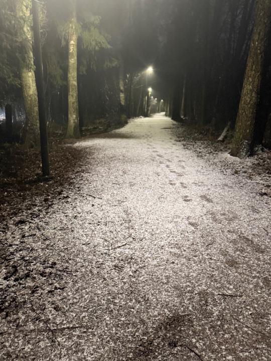 Hanna-Kaisa Piltonen