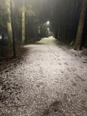 Hanna-Kaisa Piltonen