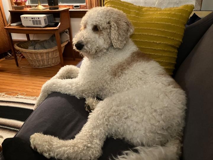 Jean and Jay Hoenninger