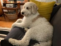 Jean and Jay Hoenninger