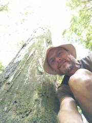 Ronald Nehlen II