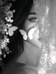 Wafaa Fadl