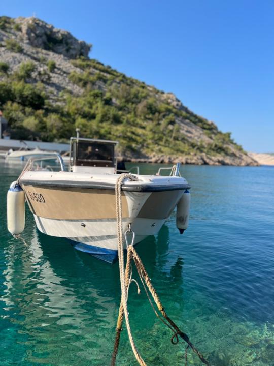 Natalia Tumidajewicz