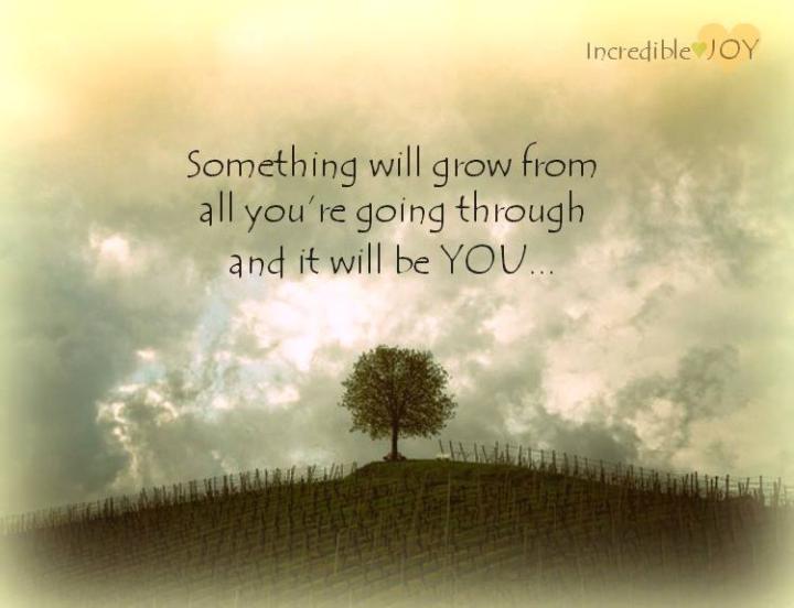 We Grow Through What We Go Through