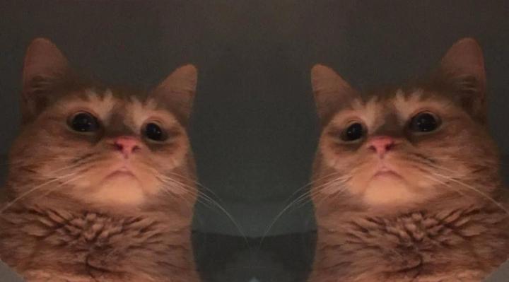 Fred P