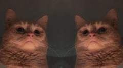 Fred P