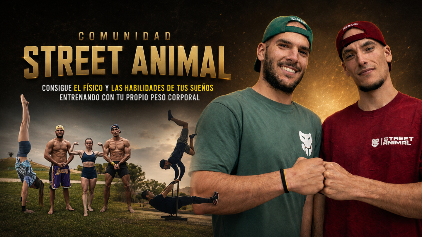 COMUNIDAD STREET ANIMAL