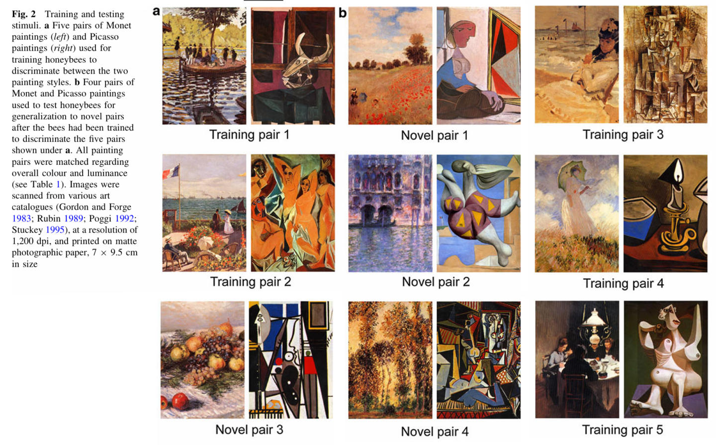 Monet and Picasso paintings used in the study.png