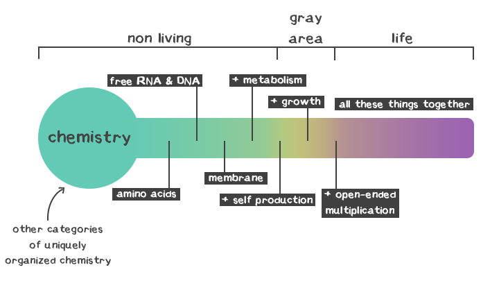 chemistry and life.png
