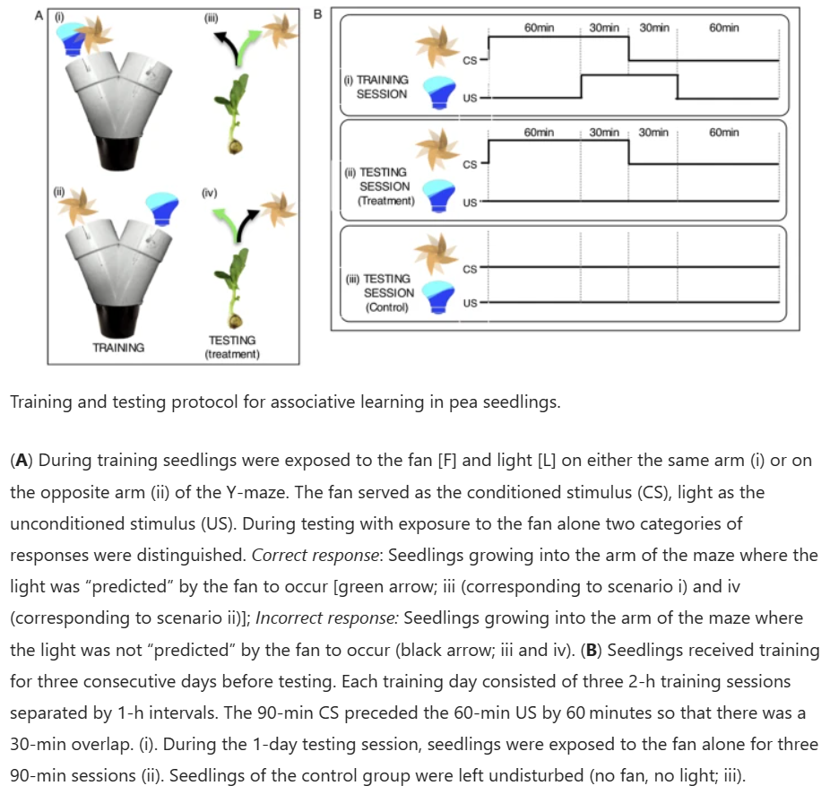 Figure 1 plant pavlovian conditioning.PNG