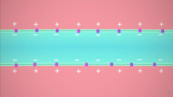 action potential gif.gif