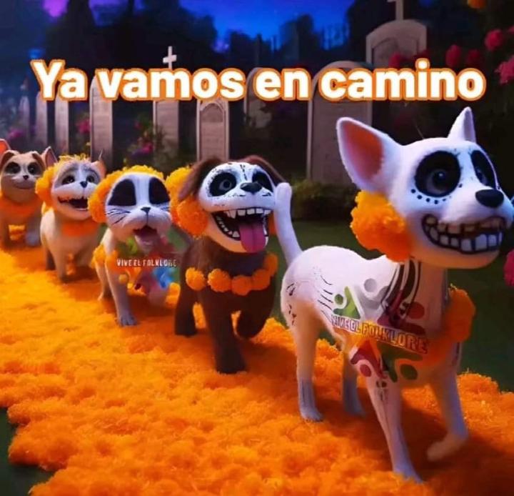 Alberto Cordero