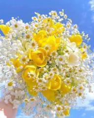 Ayche Abdul Fattah Hassan