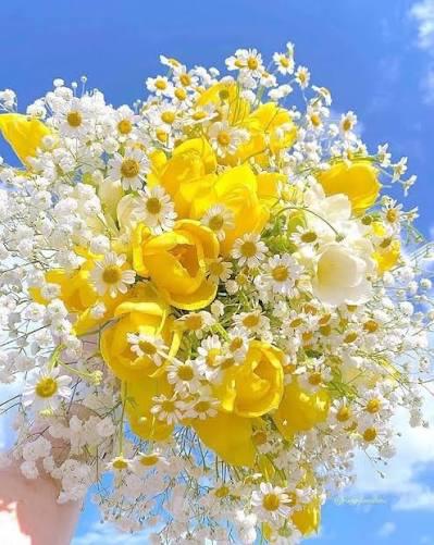 Ayche Abdul Fattah Hassan