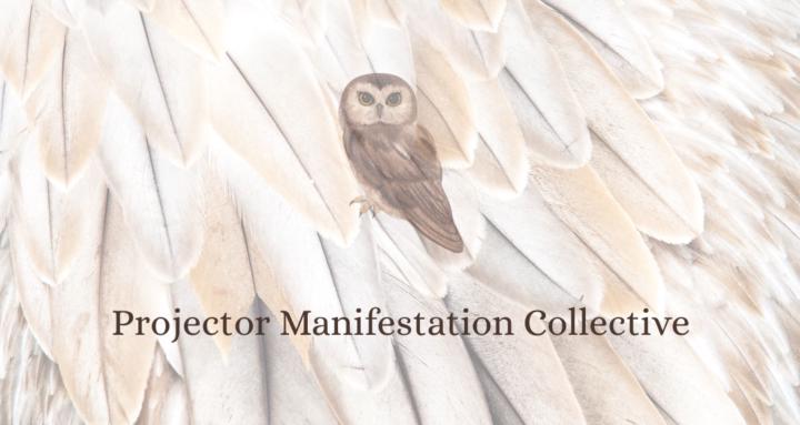 PJ Manifestation Collective