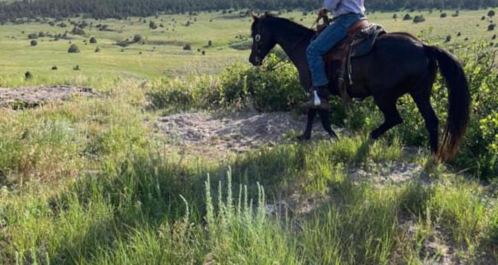 Learn To Cowboy!