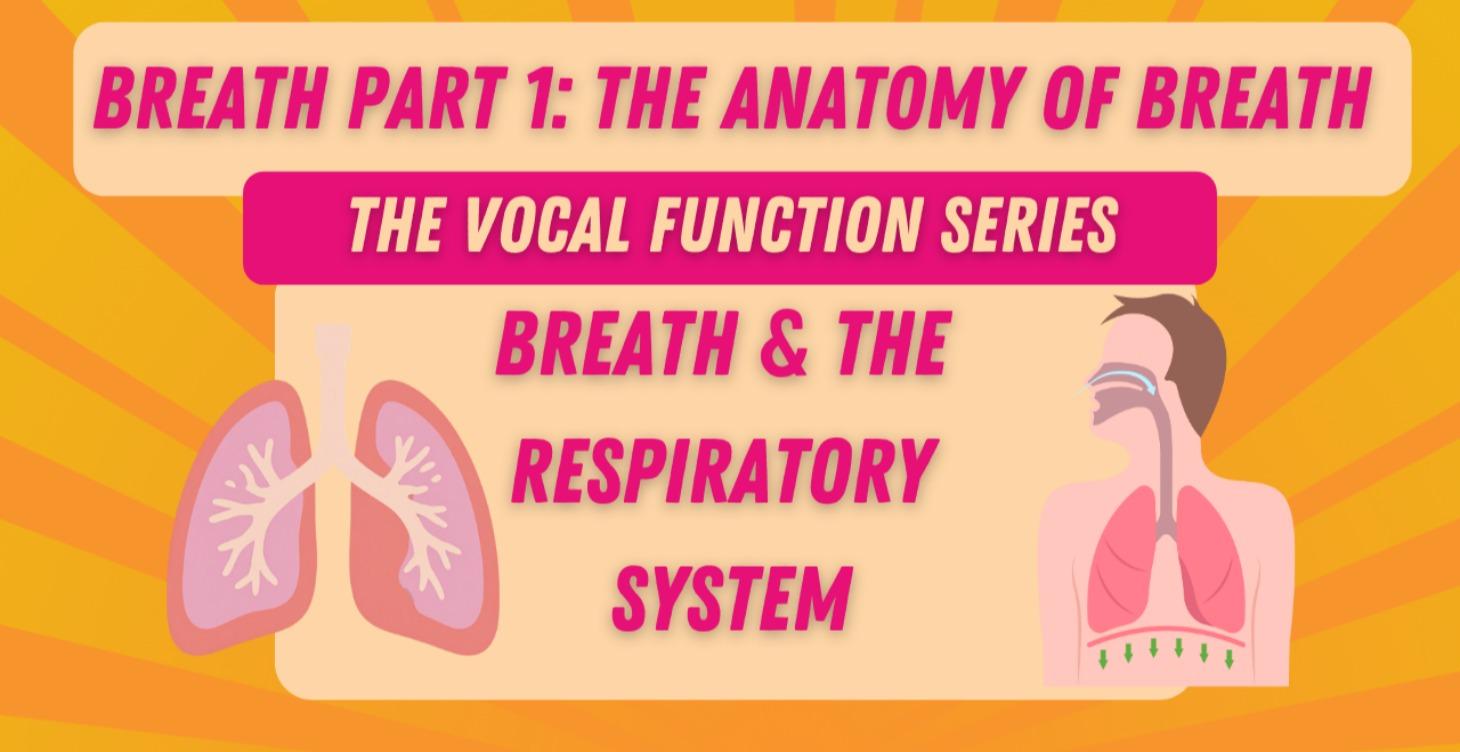 Breath Part 1: The Anatomy of Breath