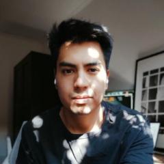 David Matamala