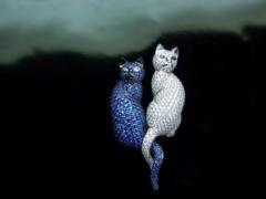 Viroj Srisirisupayok