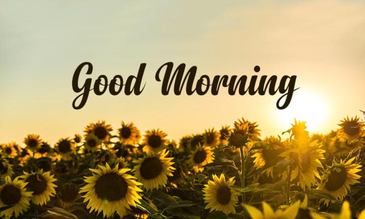Daily Declaration 