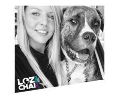 Loz Chai