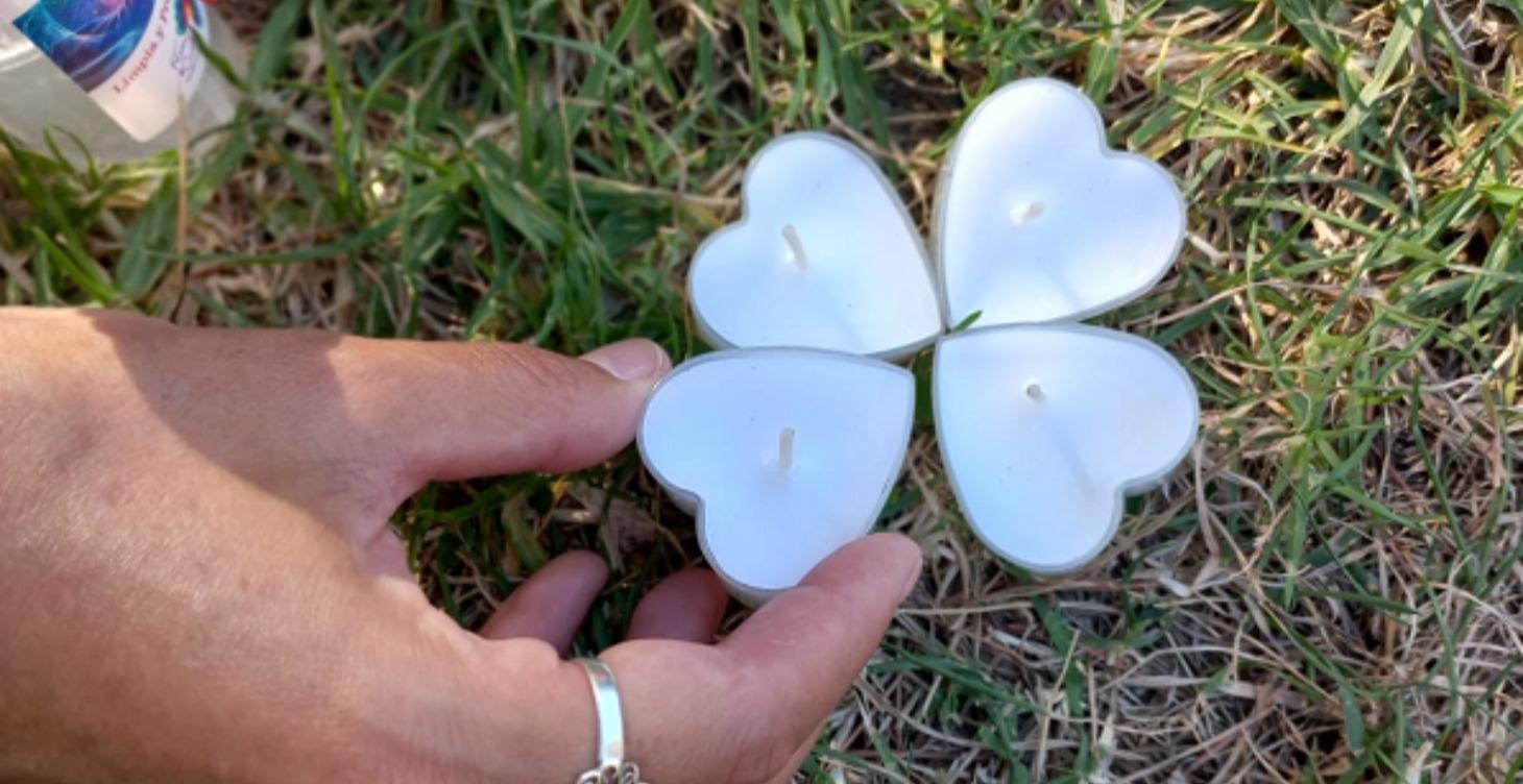 MÓDULO 0 — Bienvenida & Tu Primer Paso