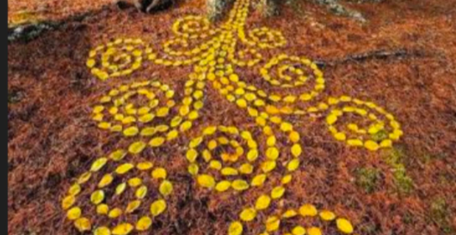 Land Art