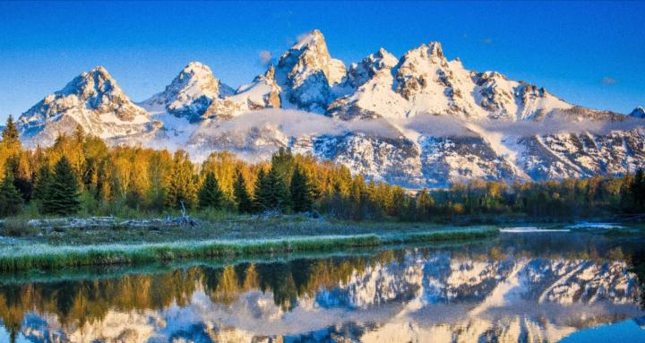 Leadership Collective