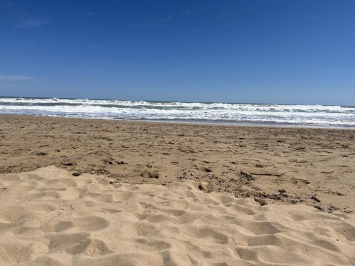 Junto al Mar!! ❤️