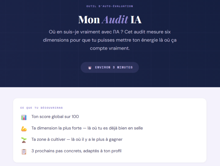 Audit IA - mesure ton niveau d'utilisation