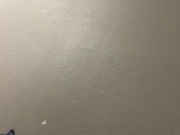 Gabriel Hernandez Avendaño