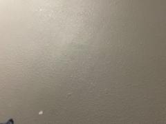 Gabriel Hernandez Avendaño