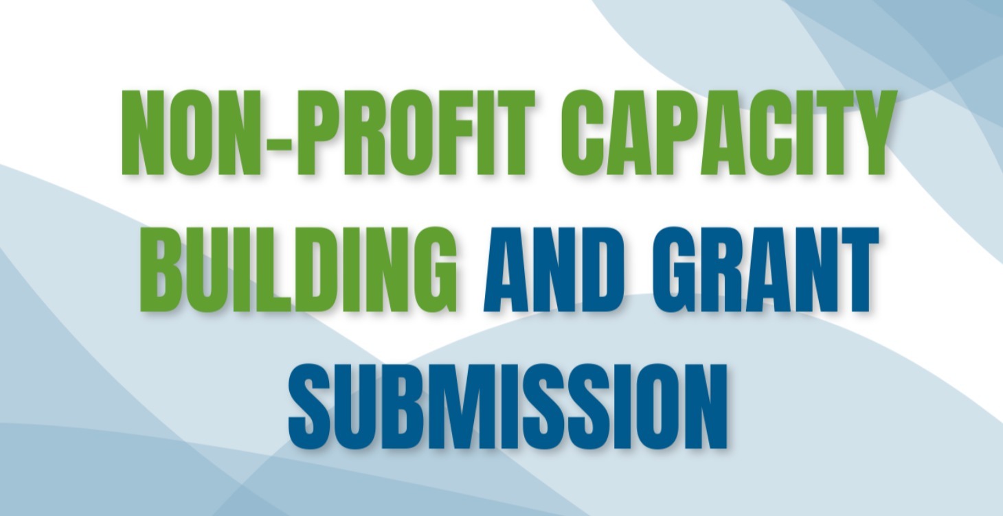 NonProfit Capacity Building and Grant Submission