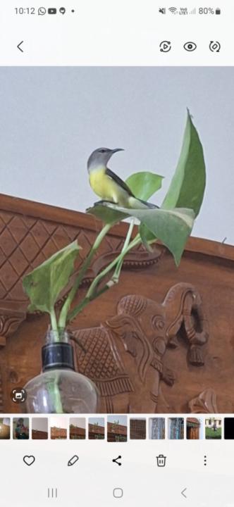 Nivethidha Balasubramanian