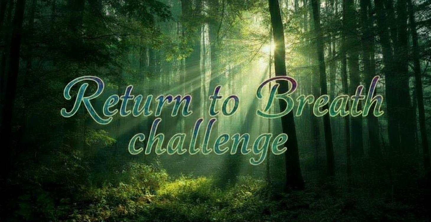 7-Day Return to Breath Challenge