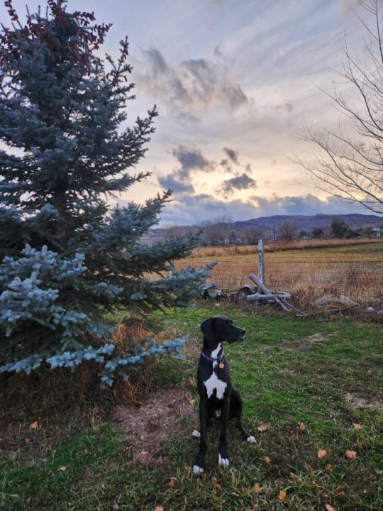 Michelle Barlow Reeves