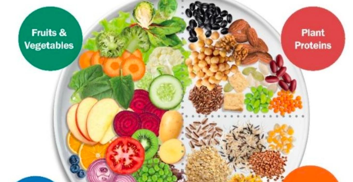 Module 1: Foundation of Clean Eating