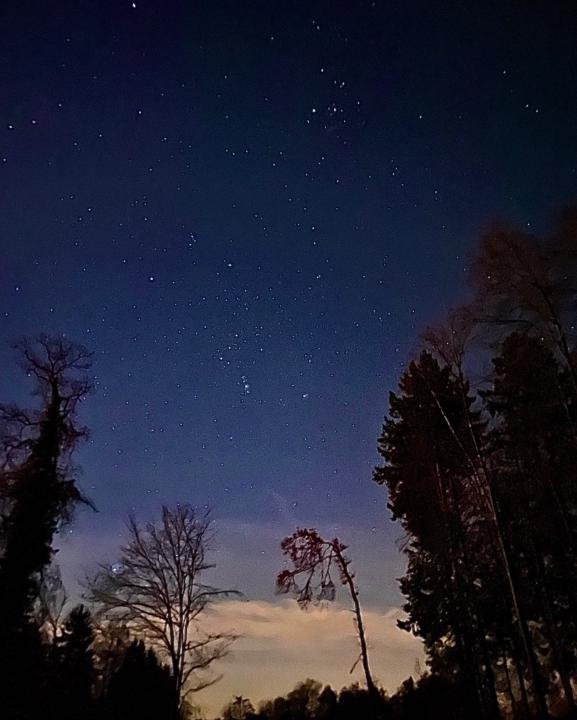 Mari Dzanibegashvili