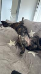 Thorsten Große Frericks