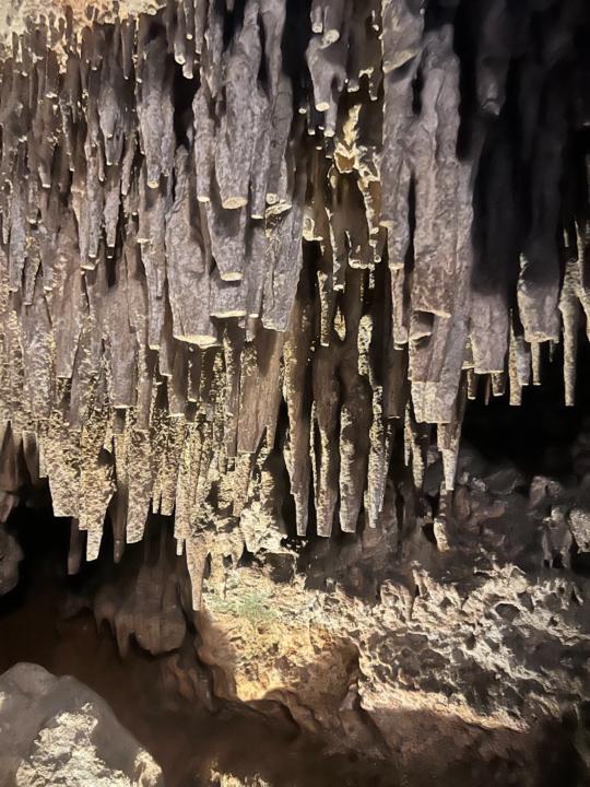 Mayra Anguiano Guzmán