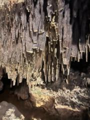 Mayra Anguiano Guzmán