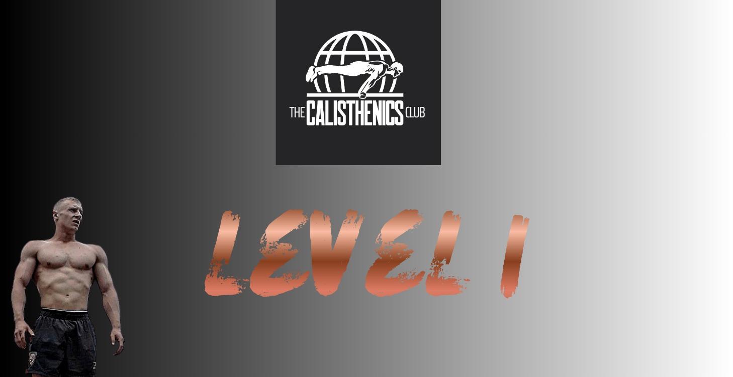 Level 1 (Beginners)