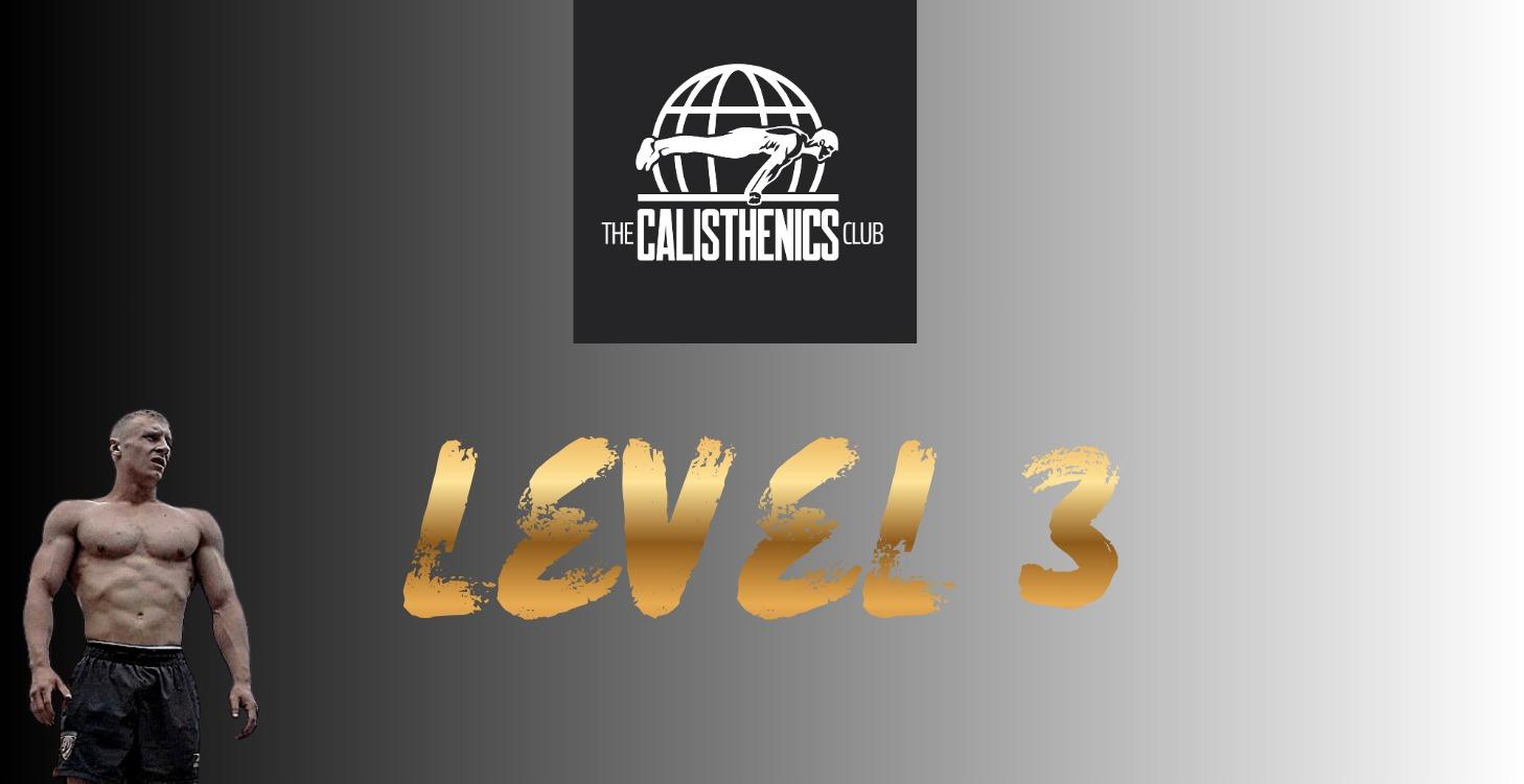 Level 3 (Planche and Tougher Skills)
