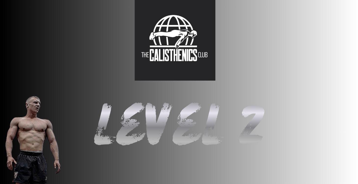 Level 2 (Skill Development)