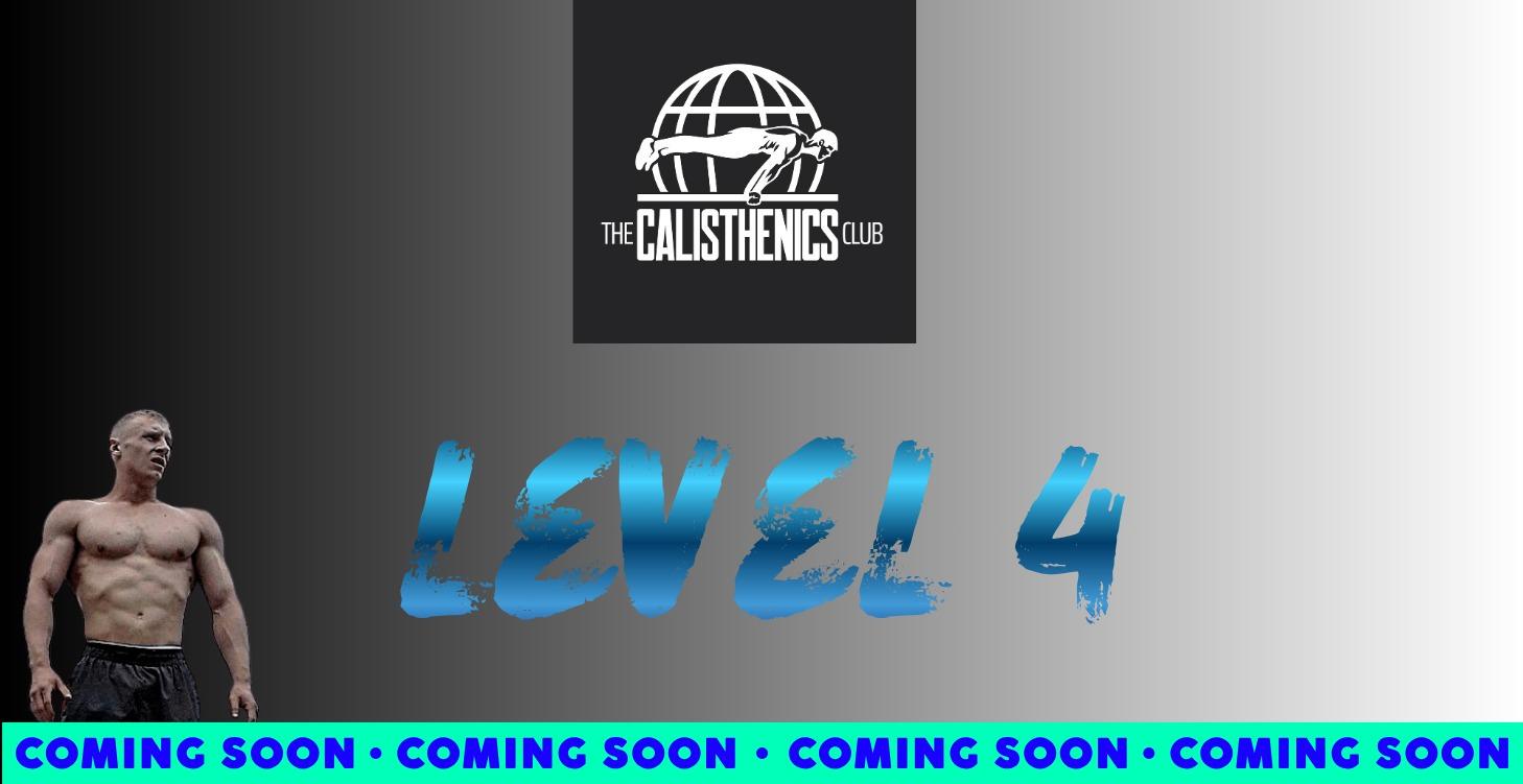 Level 4 (Advanced Skills)