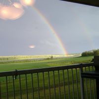 Olumide Wole-Adekogba