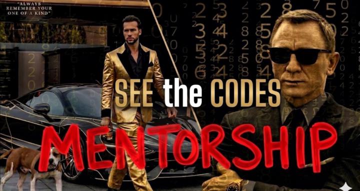 SeeTheCodes Mentorship