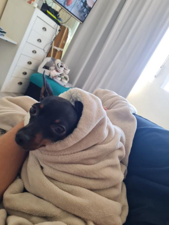 Lucas Valentino