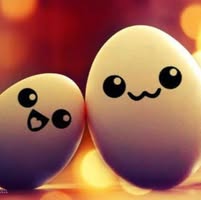 Chou Chou